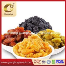 Hot Sales Delicious Xinjiang Raisin